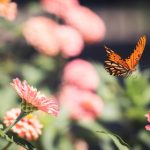 最新热点新闻图片汇总:掌握全球动态与时事 7blqxbtib