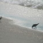 揭秘冲哥黑料汤背后的真相与故事 if36s6g