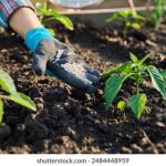 揭秘低端影视压制组的运作与影响 ln68fjpyzy